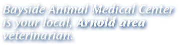 Bayside Animal Medical Center is your local, Arnold area veterinarian. Bayside Animal Medical Center is your local, Arnold area veterinarian.