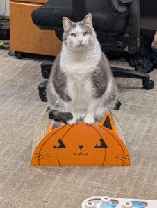 Happy Halloween from Tony and Bayside!