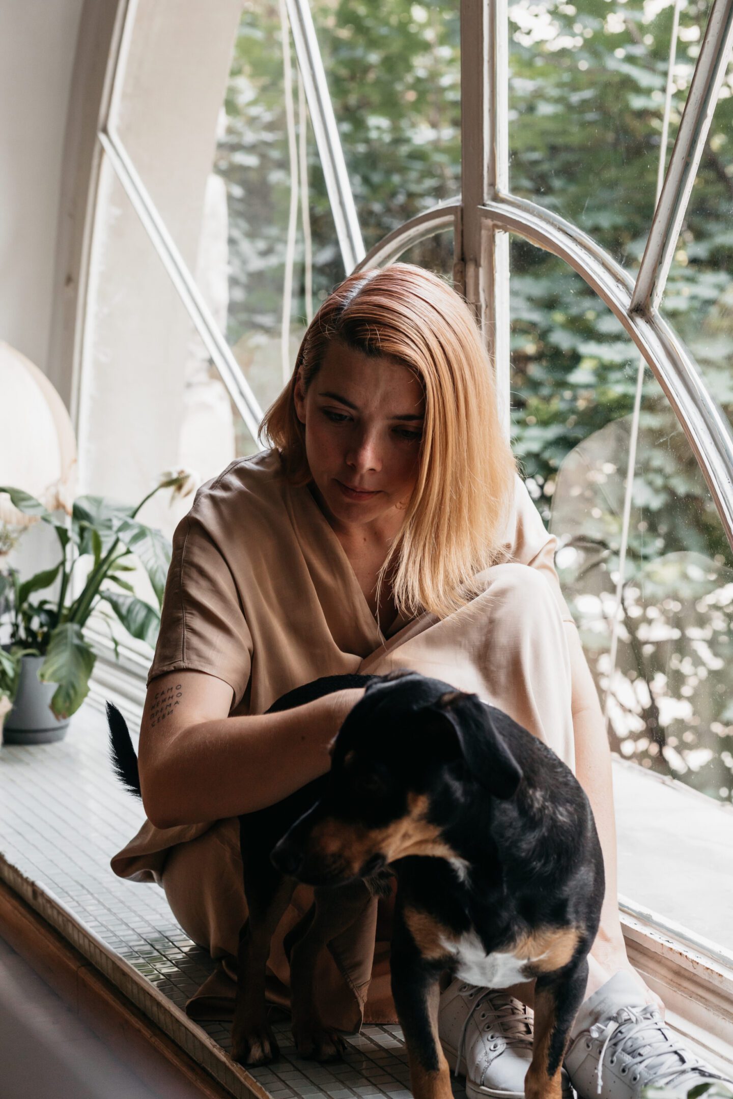 Person petting dog indoors near plants