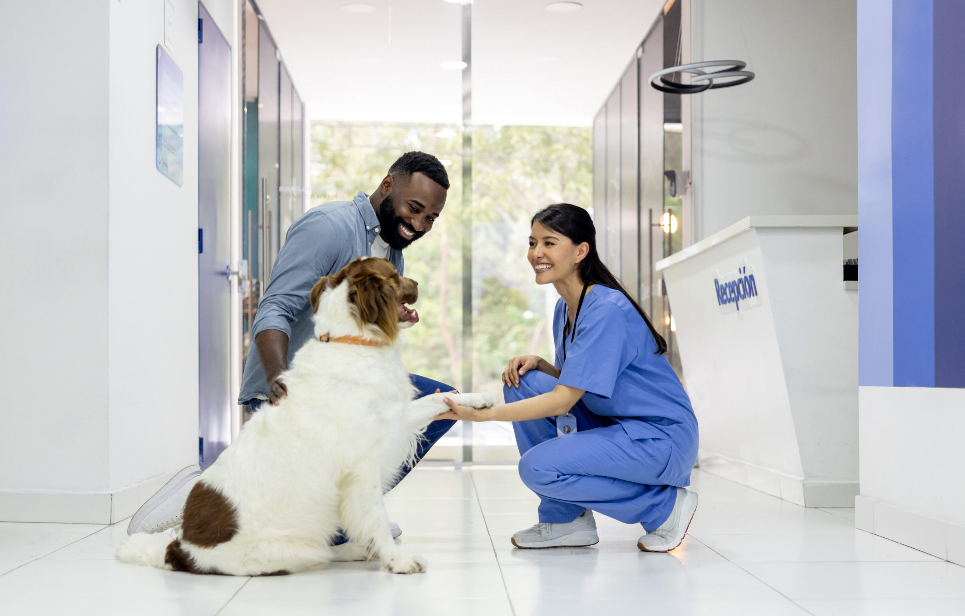 Happy dog at veterinary clinic