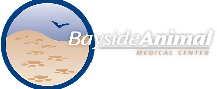 Bayside Animal Medical Center