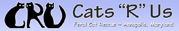 Cats R Us