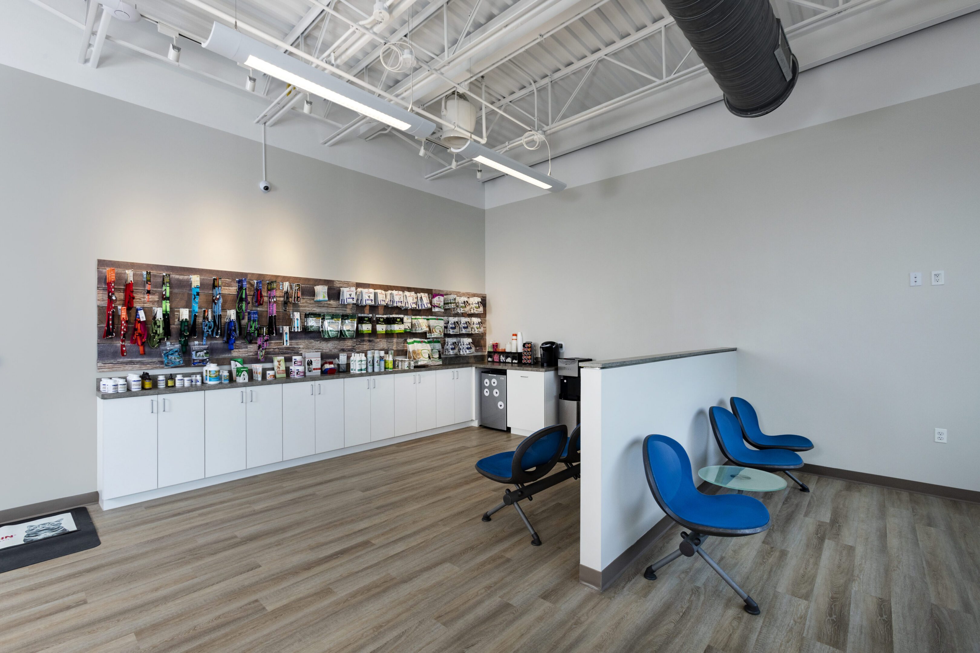 Bright pet supply shop with seating area
