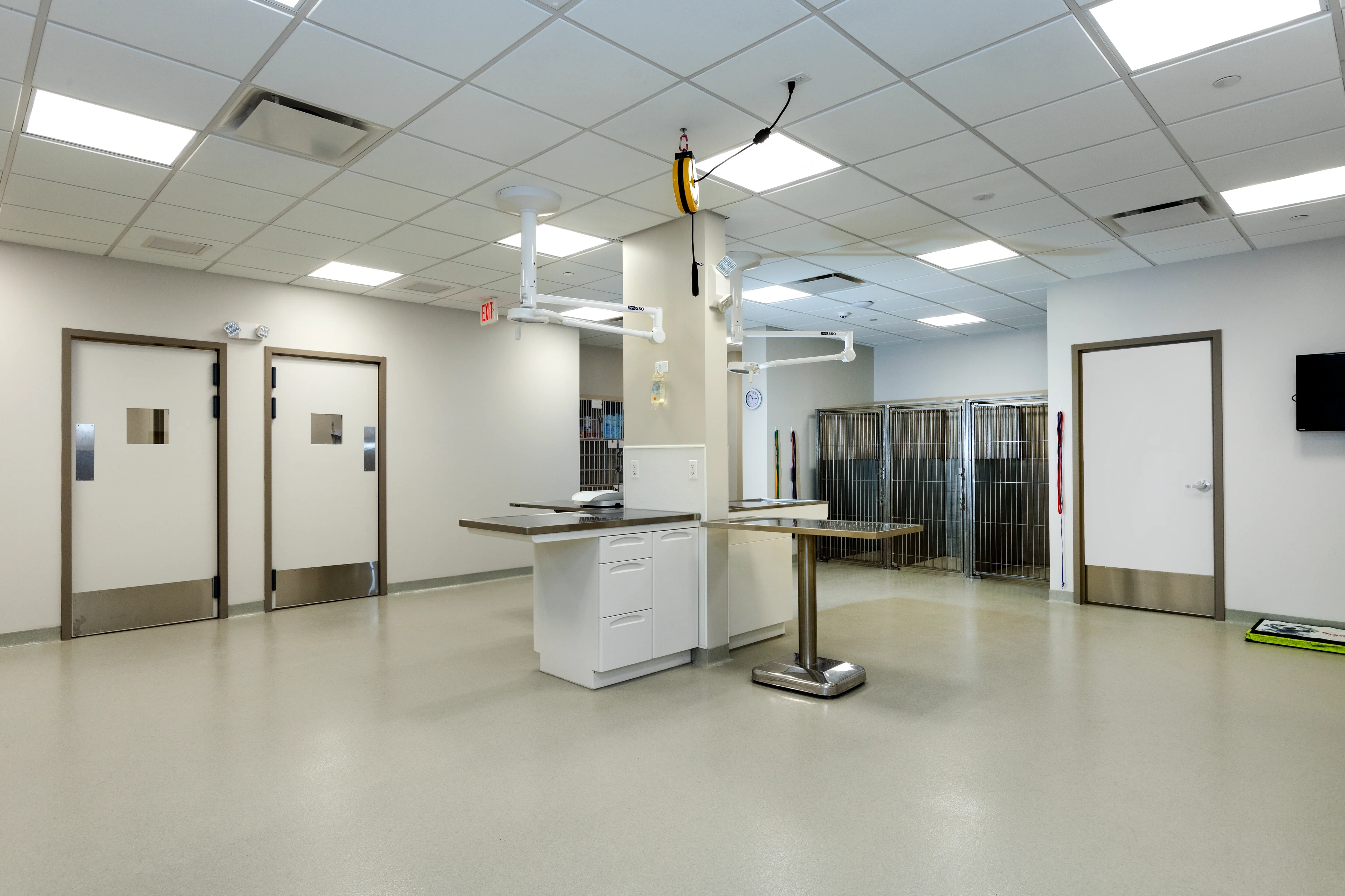 Modern veterinary clinic interior design