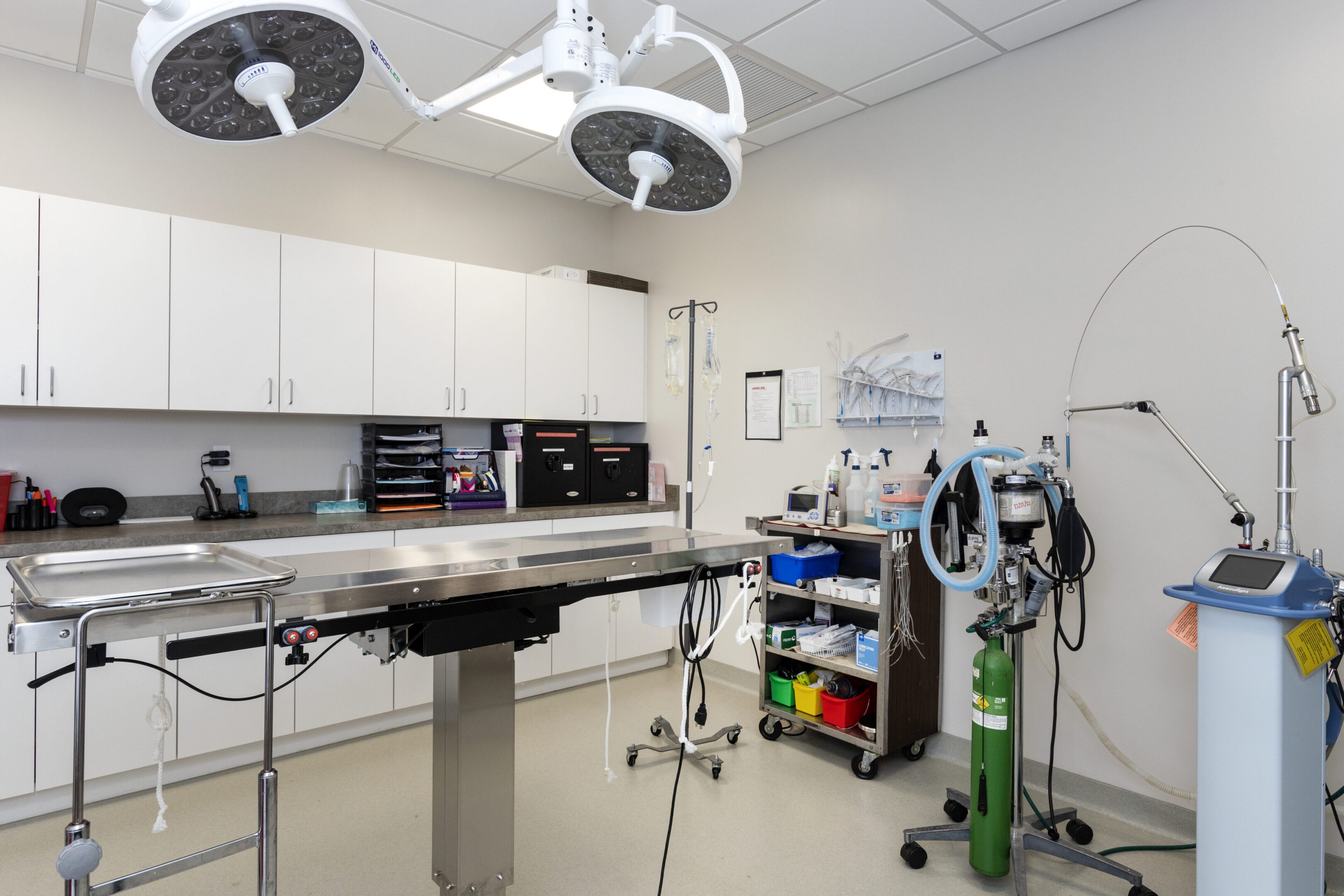 Modern vet operating room setup